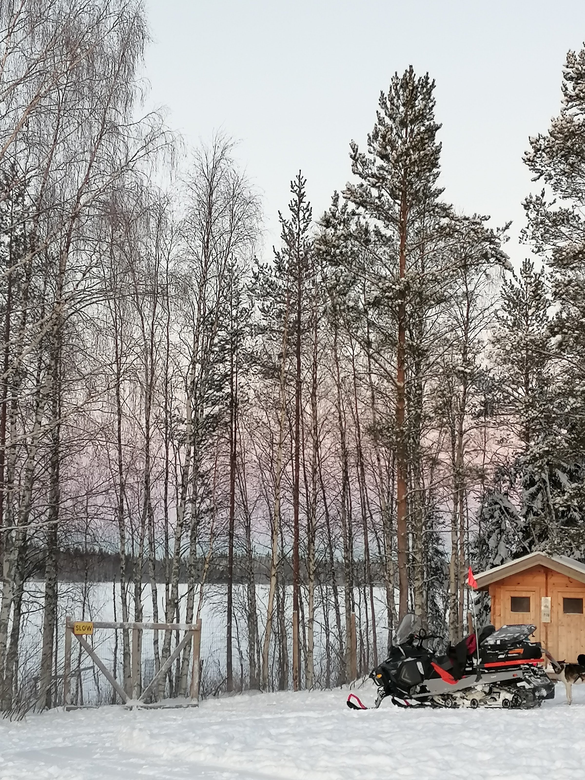 Grand Arctic Resort Husky Kennel